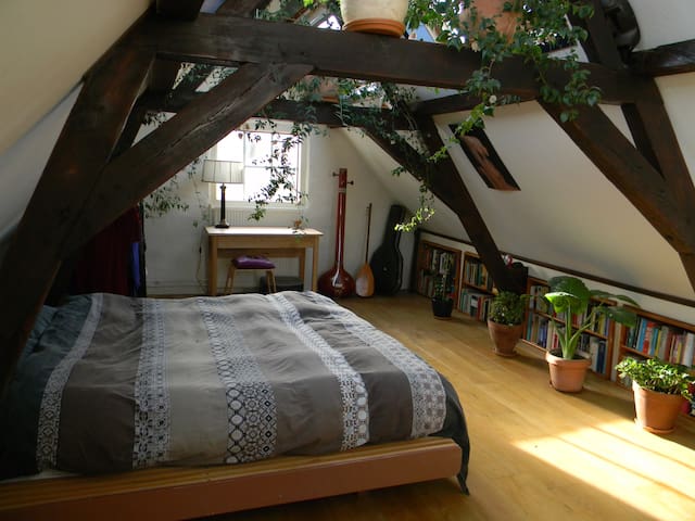 Characteristic house in city centre