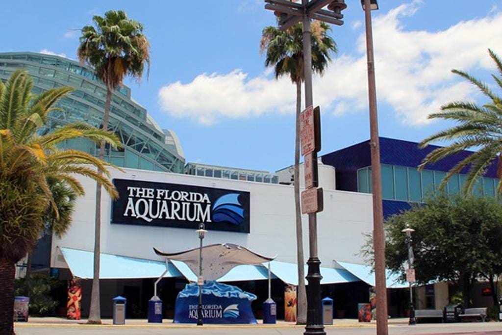 1 mile from the Florida Aquarium