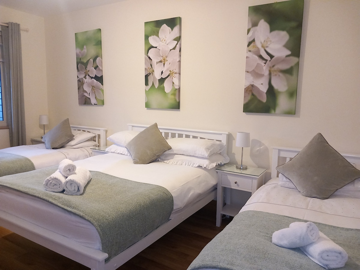 חדר שינה למטה עם מיטה זוגית ושתי מיטות יחיד. חדר רחצה פרטי