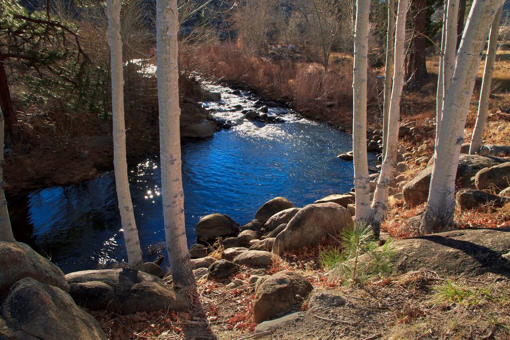 This is another view of of the West Fork Carson River that is immediately in the back yard. Nice fishing hole also.