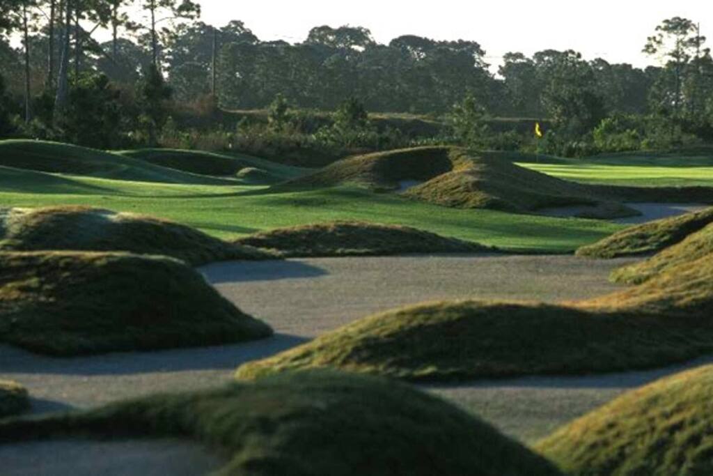 Dye course