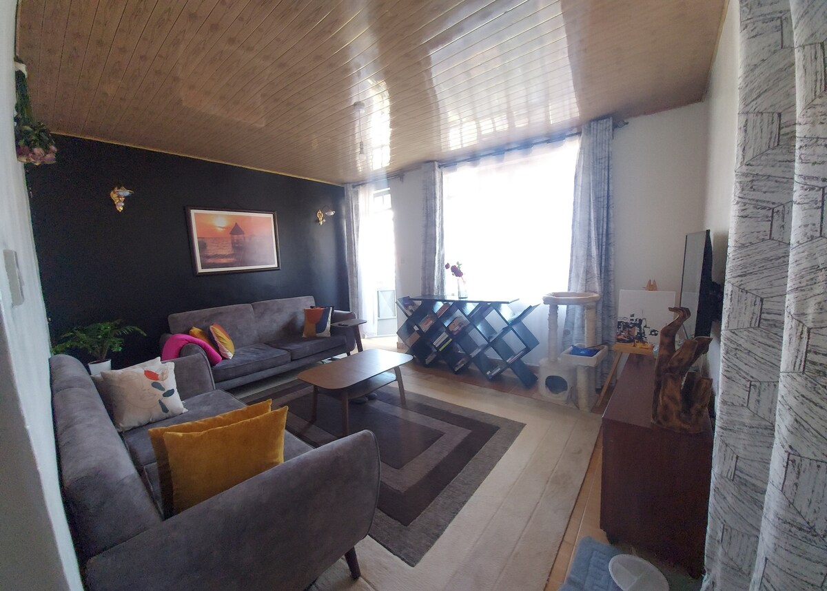 The living area features a blend of comfortable seating, including two grey sofas adorned with colorful cushions. A coffee table sits centrally, complemented by a decorative rug. A bookshelf and a television are positioned along the walls, with natural light filtering through the sheer curtains.