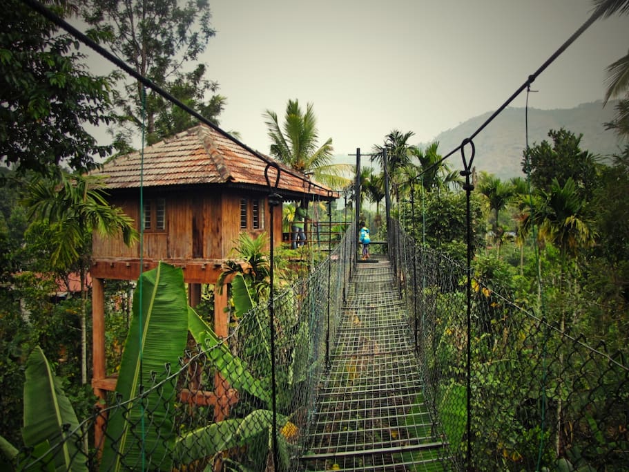 Hanging Bridge to the Treehouse