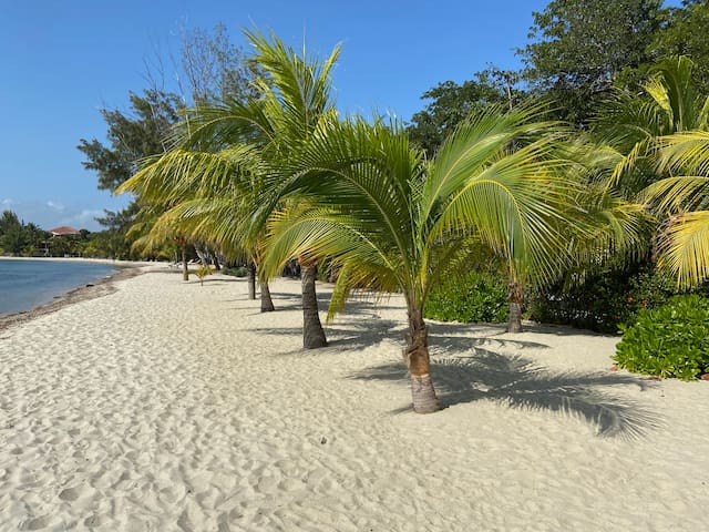 Gold Standard private house on Aurora Beach gallery image 2