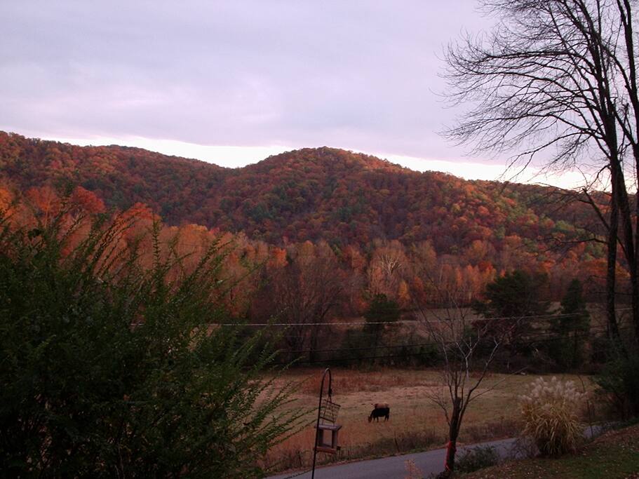 View from the deck (Fall).
