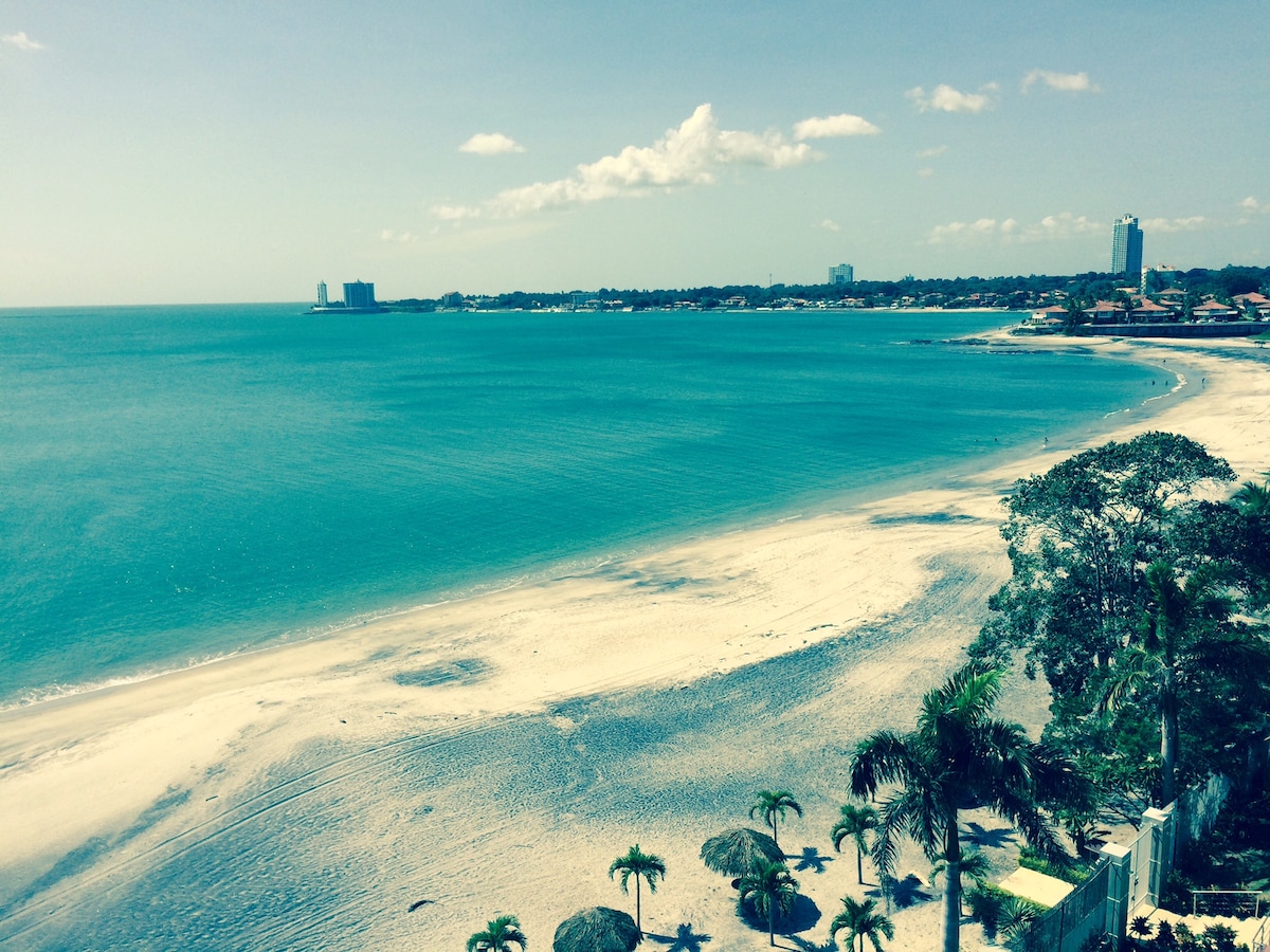 An expansive view of a tranquil beach is seen, with soft sandy shores meeting clear turquoise waters. The horizon features a blend of blue sky and distant buildings, while palm trees and shaded cabanas dot the beach area.