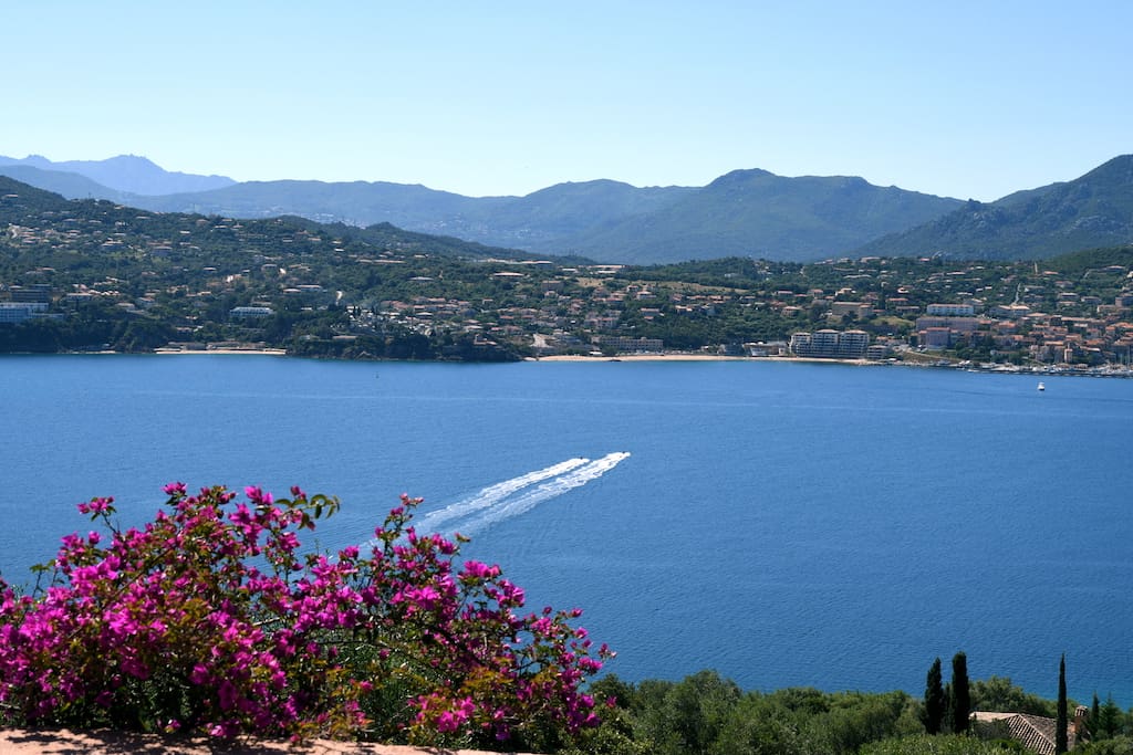 MARINE : vue panoramique sur le Golfe du valinco