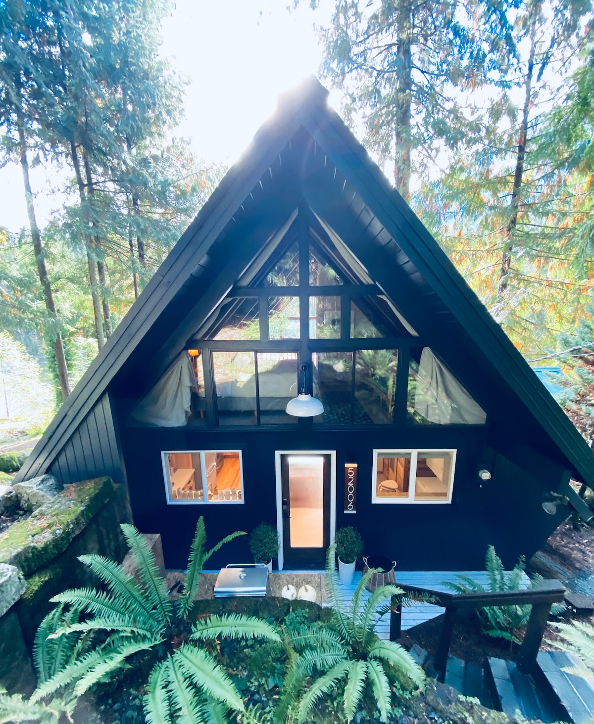 The exterior of the A-Frame cabin is showcased among tall trees, featuring large windows that invite natural light into the space. Steps lead up to the entrance, surrounded by lush greenery and ferns. The structure exhibits a modern, rustic charm with dark wood accents.