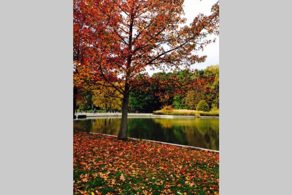 Kissena Park View from the House