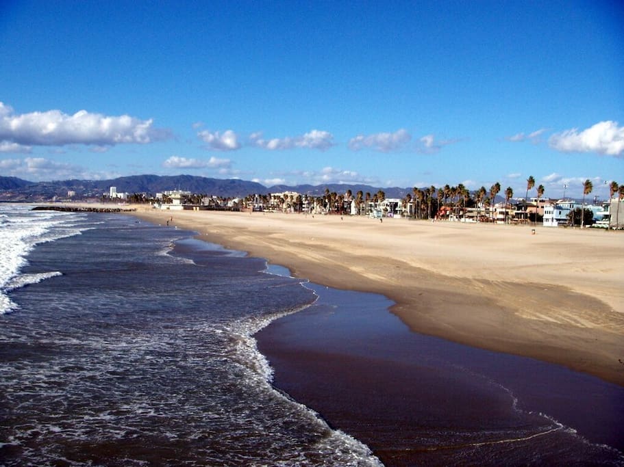 Welcome to Venice Beach! A short stroll from your cottage.