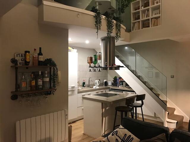 The Friary Temple Bar Penthouse Loft w/Roof Garden gallery image 3