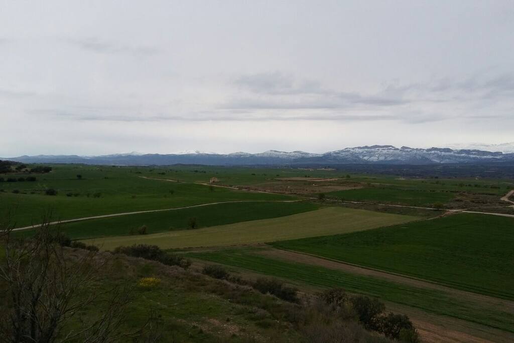 Panorámica