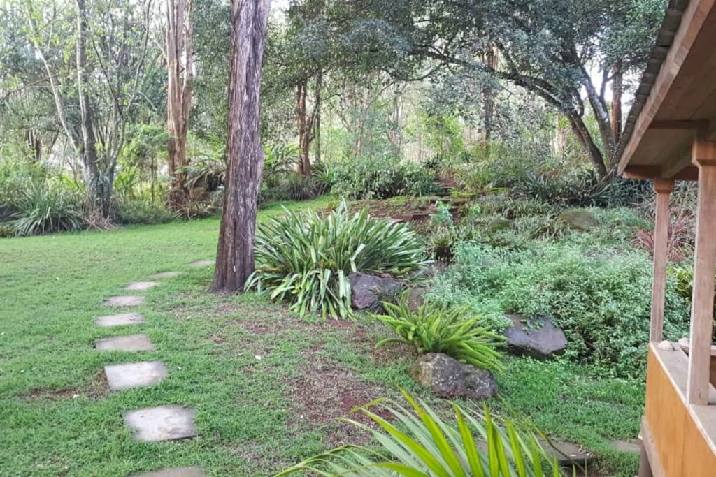 A tropical paradise of flowers and trees