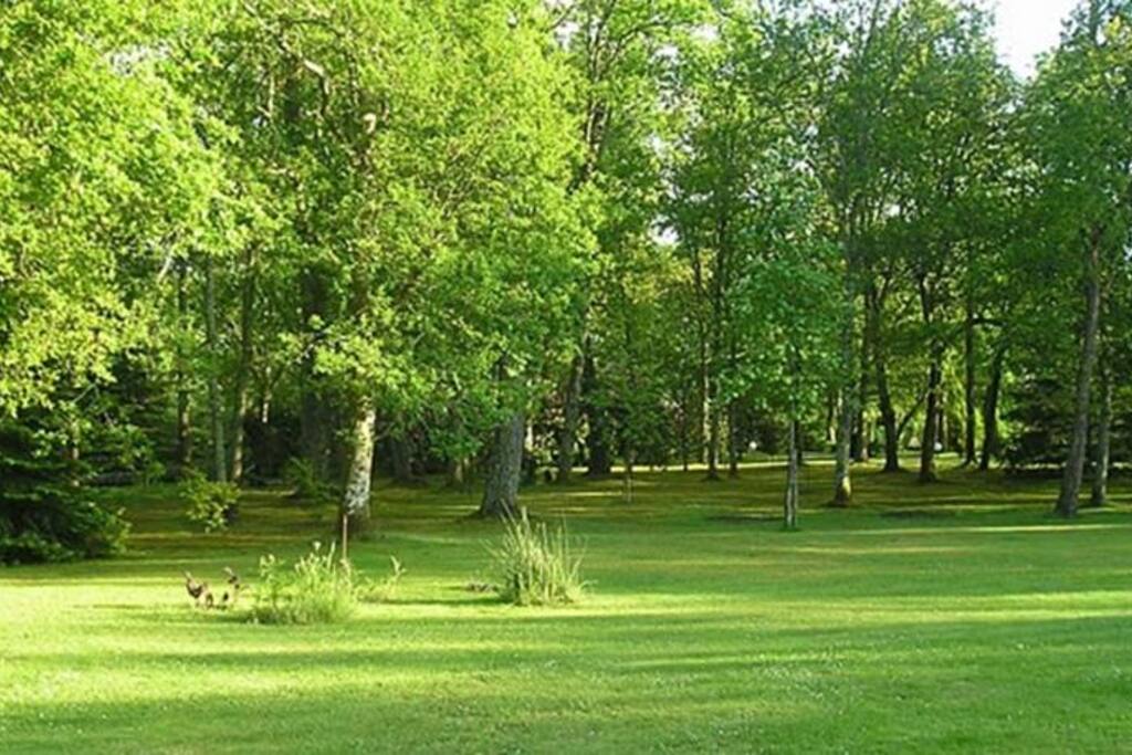 Le parc