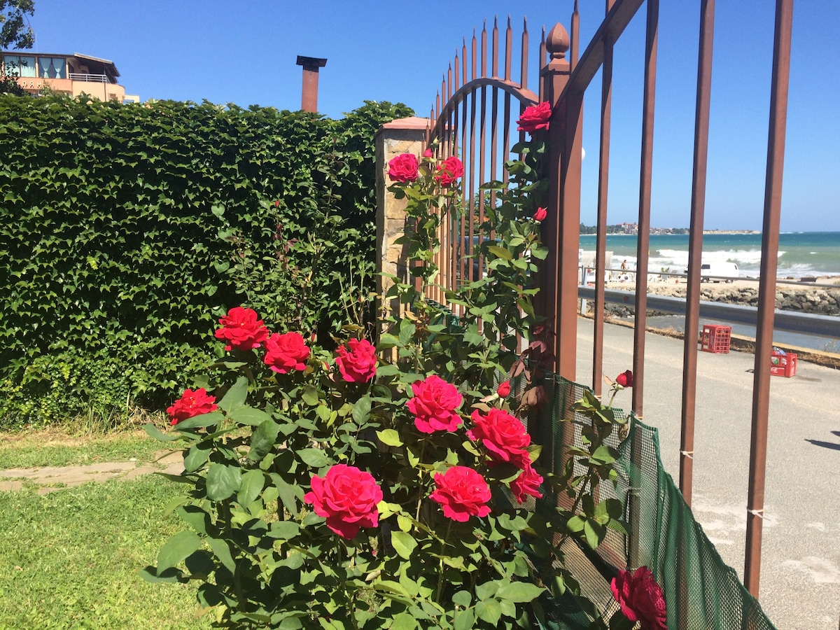 A vibrant rose bush with clusters of red flowers is positioned at the entrance gate, framed by lush greenery. Beyond the gate, the sea can be seen in the distance, with the waves gently lapping at the shore, and a clear blue sky overhead.