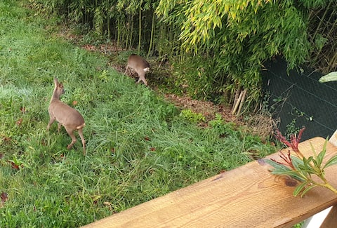 Etchetao, Rdj portes Bayonne near the beaches.