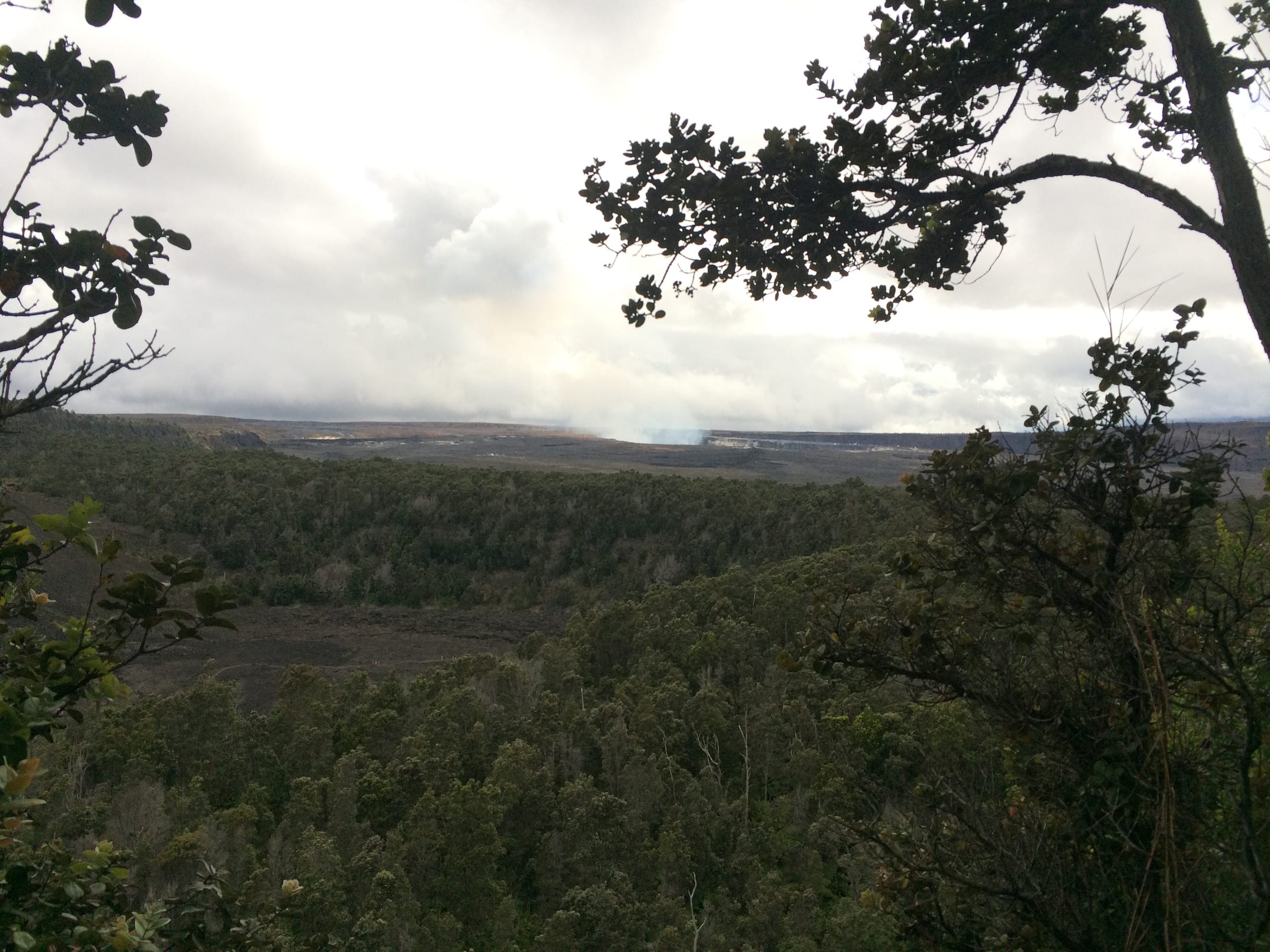 Explorer's Bungalow - Explore Volcanoes NP! - Photo 44