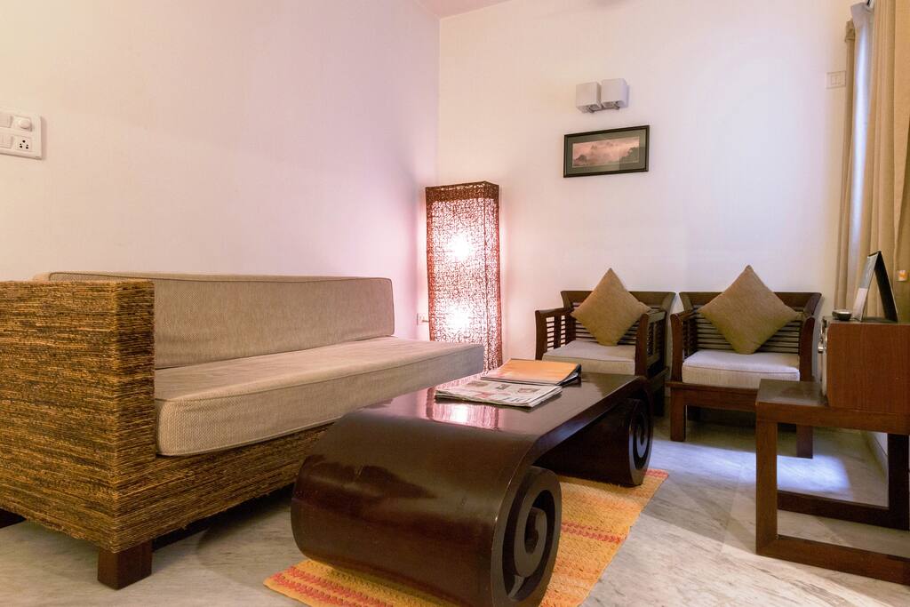 Cozy -1BHK Living Room.