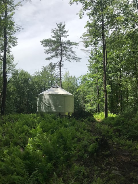 Magical Hermit Yurt - Private White Mountain Woods