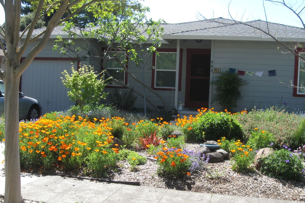 This is the front of the duplex. The unit available is in the back, very quiet.