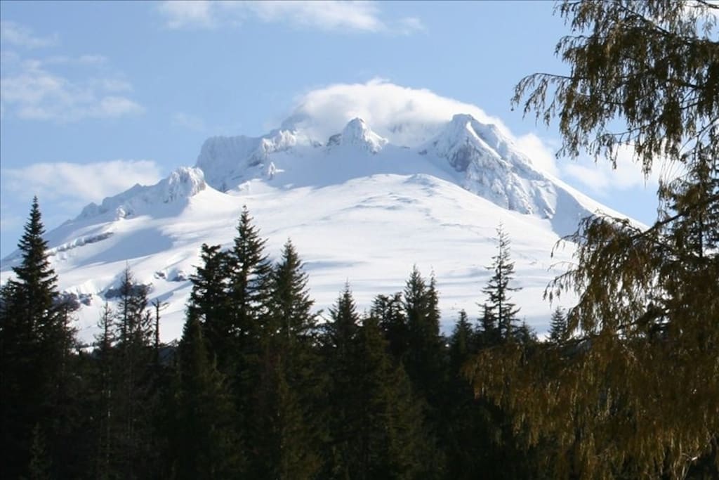 View from the deck