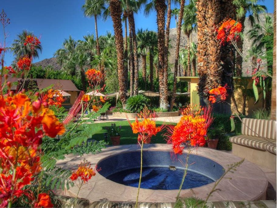 Hot Tub & Gardens