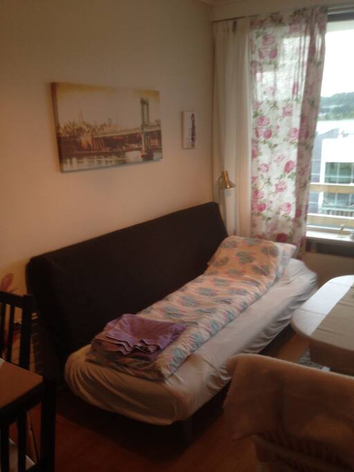 Dobbel sovesofa,her brukt som enkel.