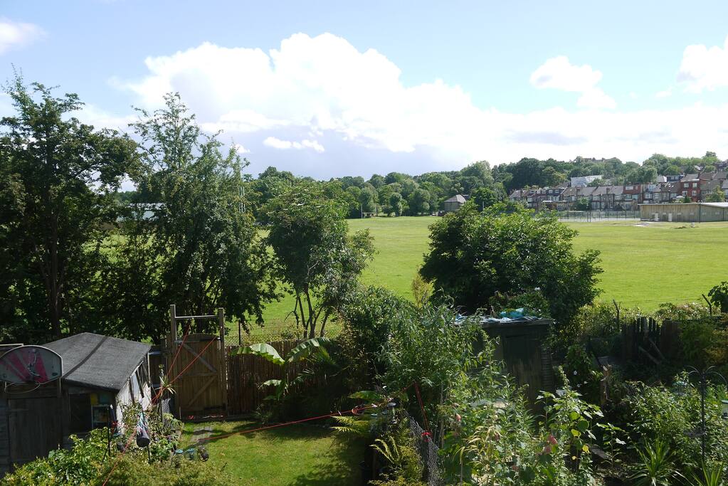 View from living room
