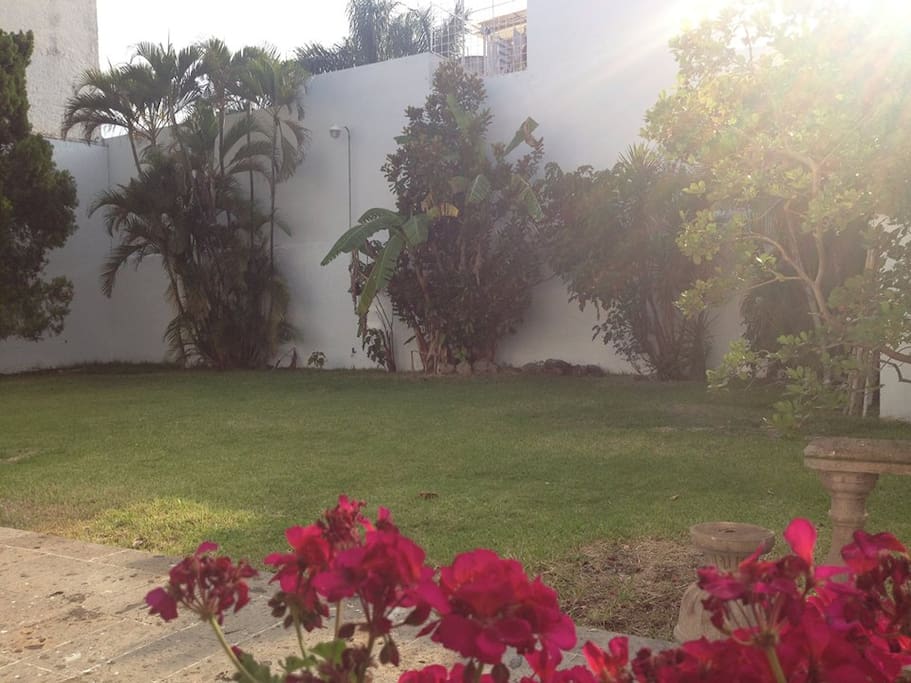 Jardin con camastros para tomar el sol