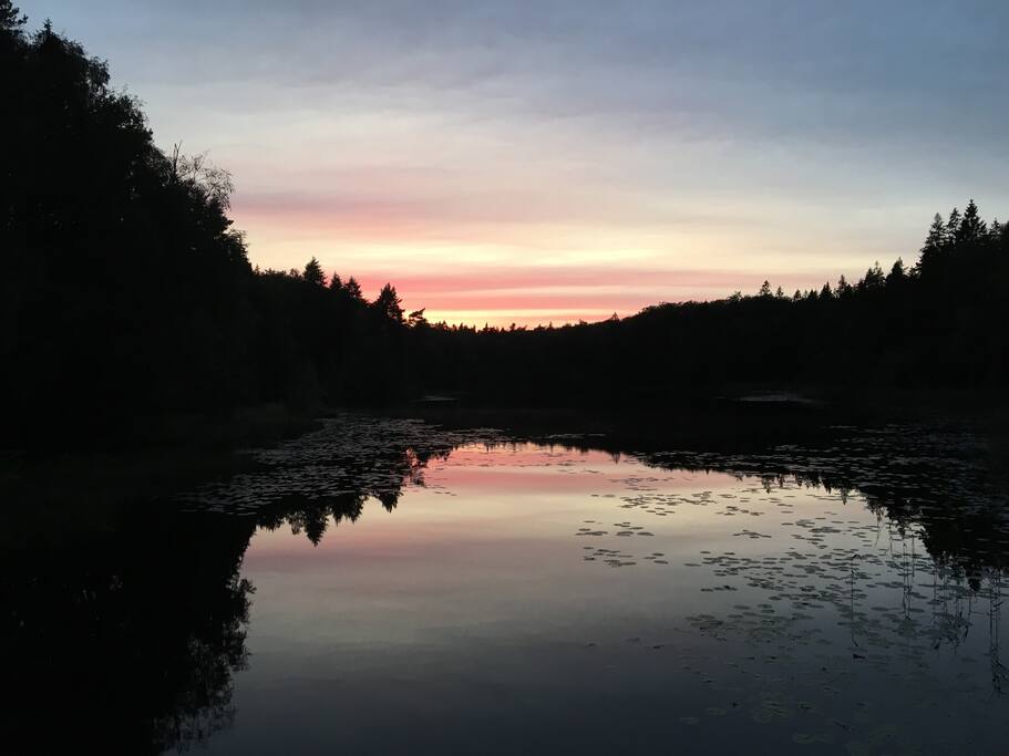Solnedgang