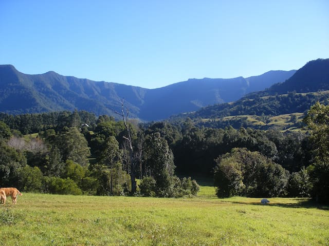 listing_image