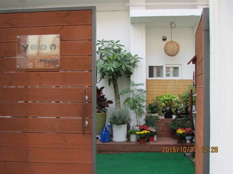 Front view / 全体景色