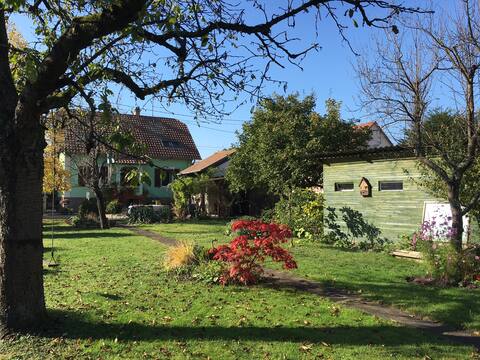 Cozy country house near Christmas market Strasbourg