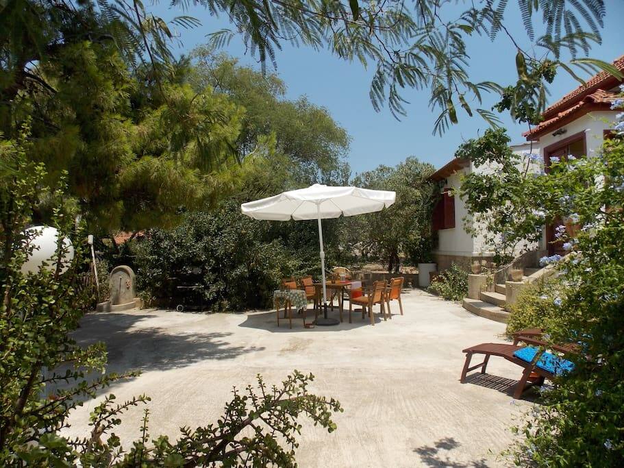 Live in The Oldest Pistachio Estate : courtyard