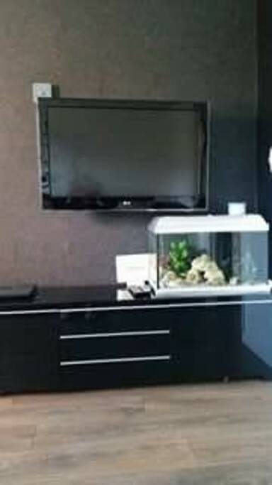 Flat screen TV with cable