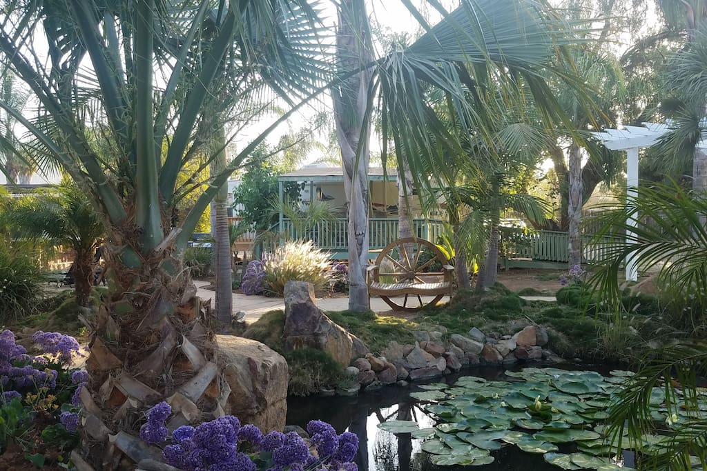 A view of your space from across the Koi Pond