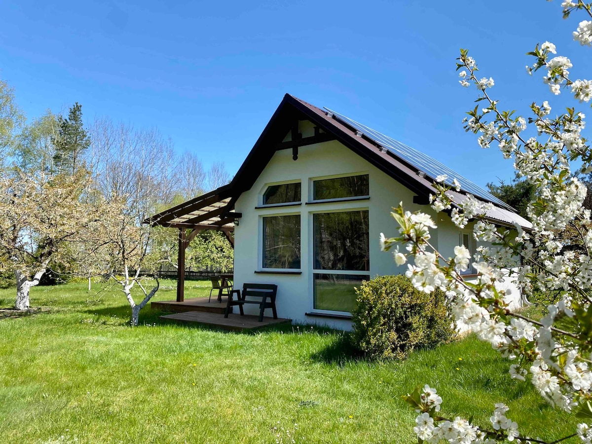A charming cottage is set amidst lush green grass, framed by blossoming trees. The exterior features large windows, allowing natural light to fill the interior. A covered porch is visible, accompanied by seating arrangements, creating an inviting outdoor space.