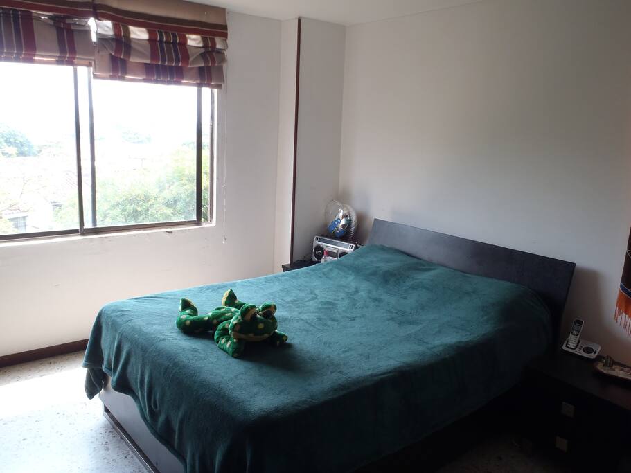 QWEEN SIZE BEDFOR A COUPLE. OR ANOTHER FOR ONE PERSON