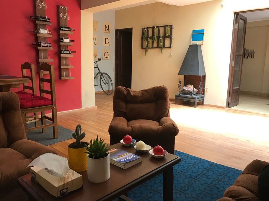 Our living room, full of succulents, herbs and wine