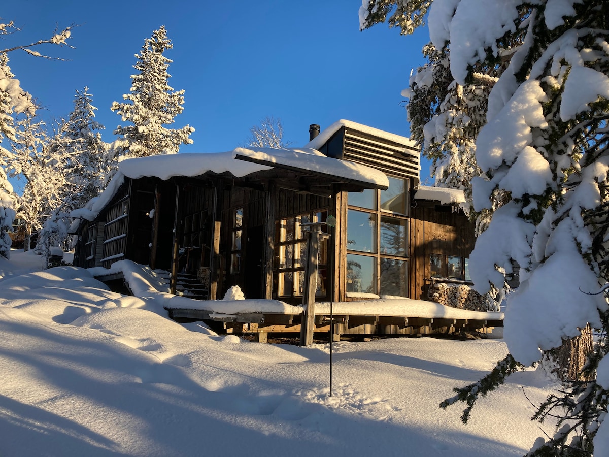 A modern cabin is surrounded by a winter landscape, featuring a mix of wooden panels and large windows that reflect sunlight. Fresh snow blankets the ground and tree branches, creating a serene environment. The sloped roof and porch provide an inviting entryway.