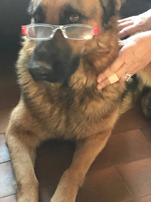 IDYLLE elle est comme moi, elle a besoin de lunettes.