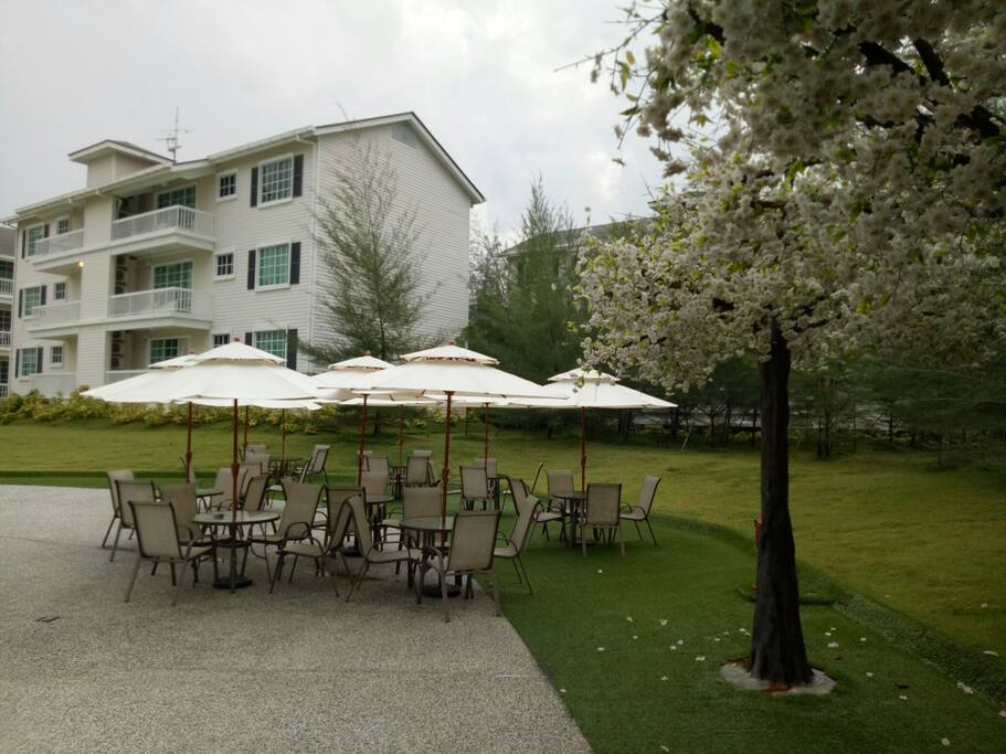 rest and relax garden beside swimming pool