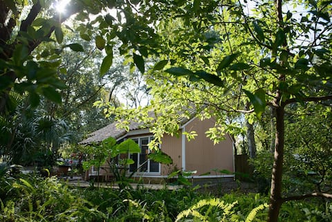 Paradise nook near Orlando's theme parks