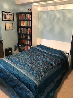 You're private bedroom that includes a double murphy bed, desk with chair, and your on TV and DVD player with full cable, Netflix, and HBO.