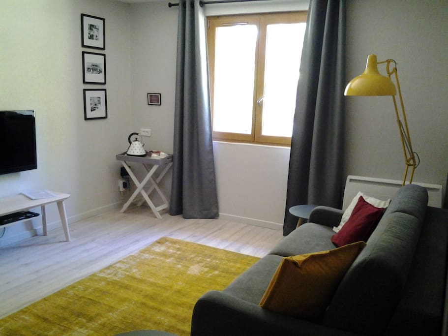 Salon avec canapé, fauteuil, télévision, plateau d'accueil, wifi