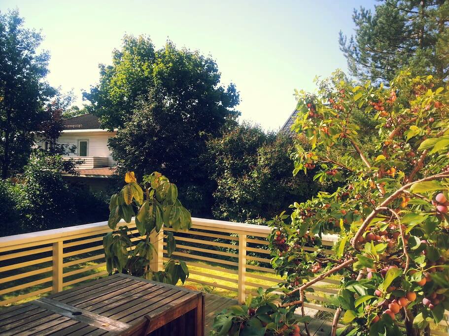 Summer
