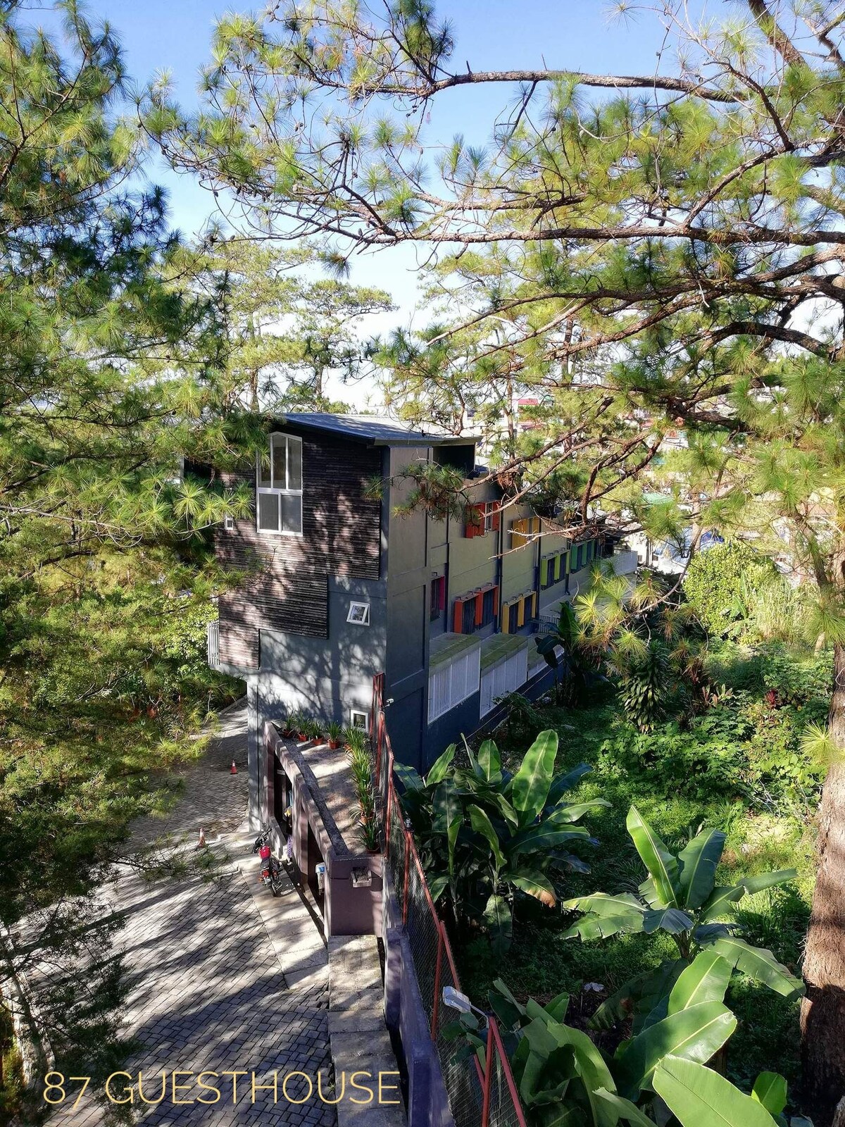 A view from above captures a multi-level building surrounded by lush greenery and tall pine trees. The exterior showcases a unique architecture with colorful window panels, while a walkway leads towards the entrance, inviting exploration of the serene environment.