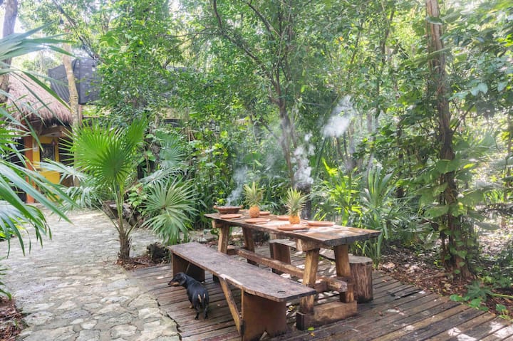Treehouse Chicozapotes