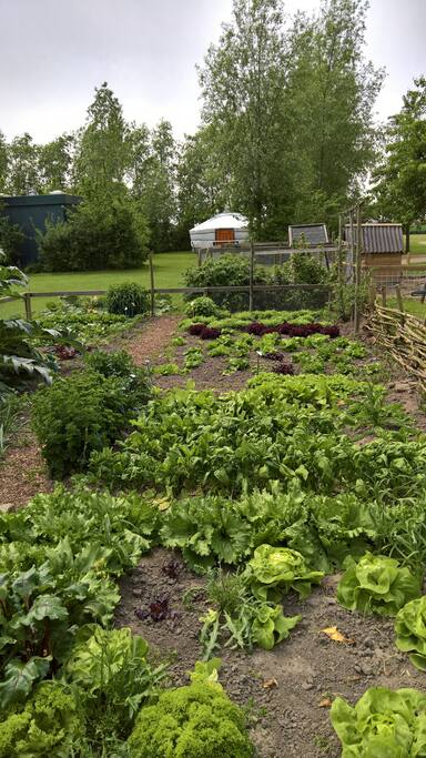 De moestuin