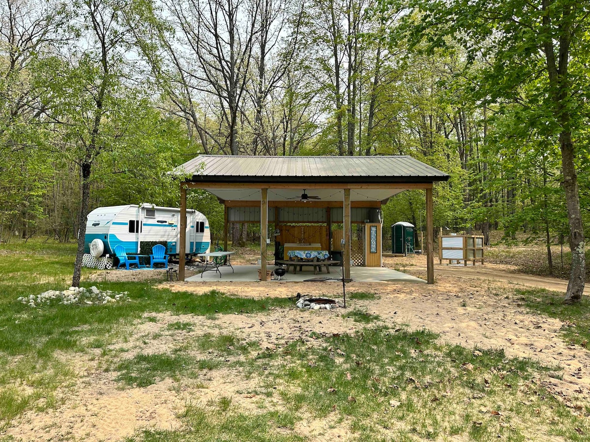A rustic camping site showcases a blue and white camper trailer parked nearby a covered pavilion. The pavilion features a picnic table and ceiling fan, surrounded by natural greenery and trees. A portable toilet is located at a distance, emphasizing the campsite's private setting.